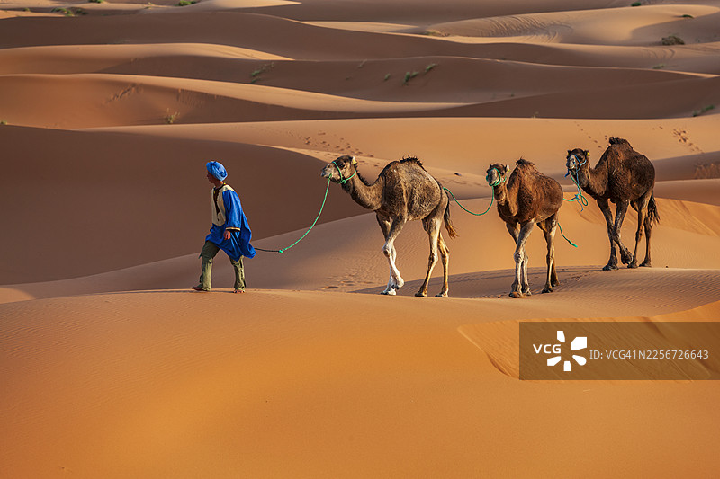 非洲西撒哈拉沙漠中的年轻图阿雷格人和骆驼图片素材