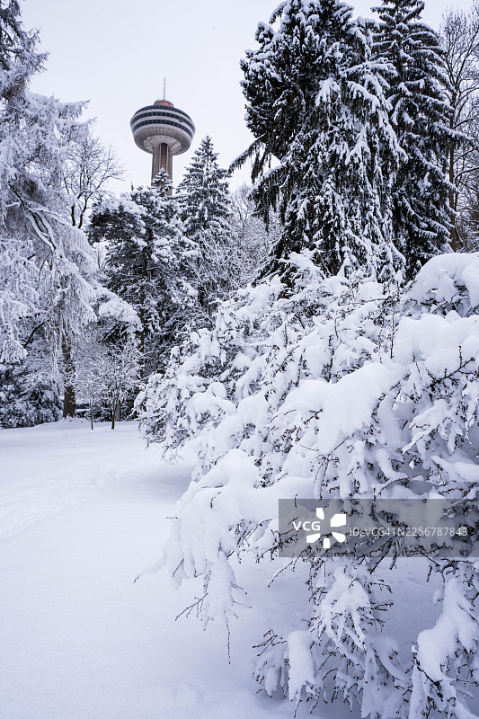 尼亚加拉瀑布冬季景观中，透过被雪覆盖的树木看到的斯凯伦塔景观图片素材