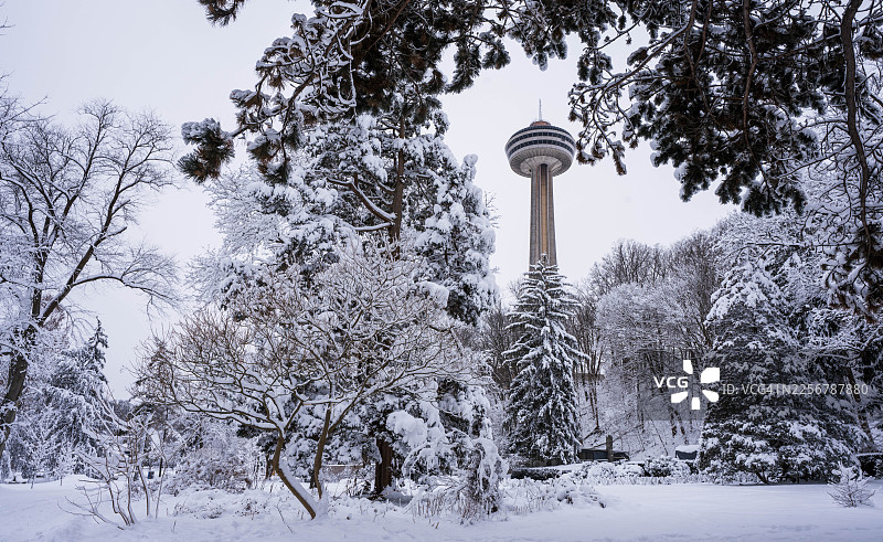 透过覆盖着雪的树木看到的尼亚加拉瀑布冬季景观中的斯凯隆塔图片素材