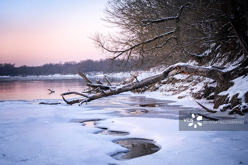 冬日河景，河岸结冰，落日时分有倒下的树木图片素材