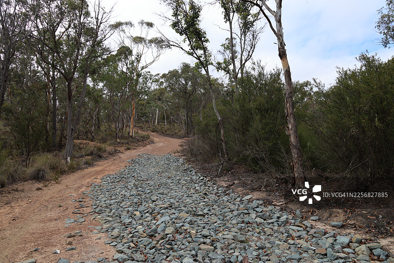 澳大利亚新南威尔士州卡鲁拉库姆拜恩自然保护区的沼泽小径图片素材