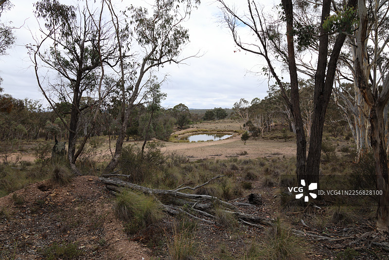 澳大利亚新南威尔士州卡鲁拉库姆拜恩自然保护区，沿着谢德步道（Shed Trail）看到的正在蒸发的湖泊景色图片素材