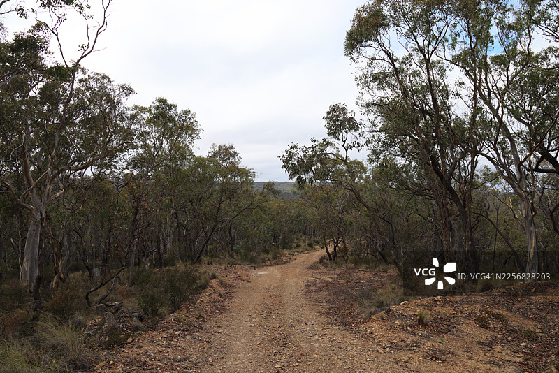 澳大利亚新南威尔士州卡伍拉库姆拜恩自然保护区的库恩贝恩河消防道图片素材
