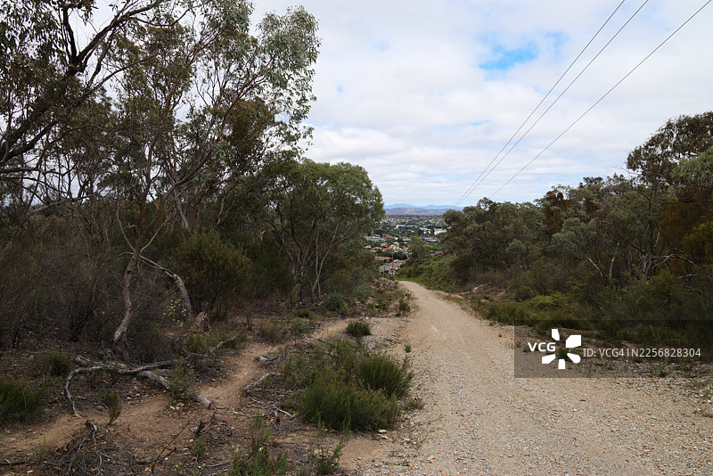 澳大利亚新南威尔士州东奎伯恩郊区的老悉尼路景观图片素材