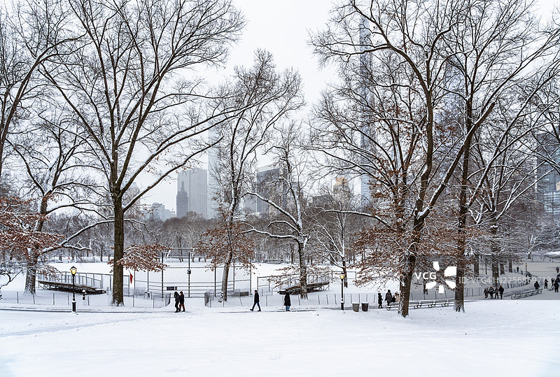 纽约中央公园的雪景赫克舍尔球场图片素材