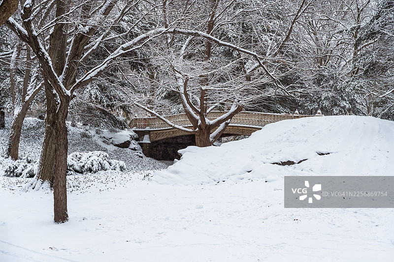 雨夹雪中的中央公园松林拱门图片素材
