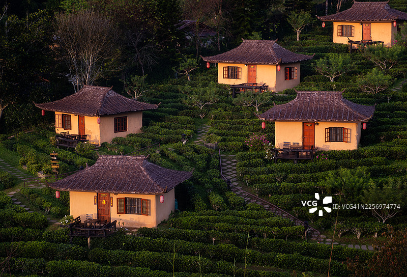 曼拉克泰图片素材