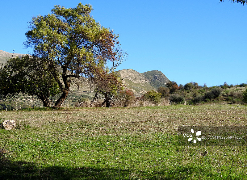 阳光明媚的日子里，蓝天白云下，绿油油的田野点缀着树木和远山。图片素材