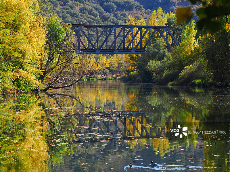 索里亚，西班牙，一座古老的金属桥横跨宁静的河流，周围环绕着色彩鲜艳的秋季树木及其倒影图片素材