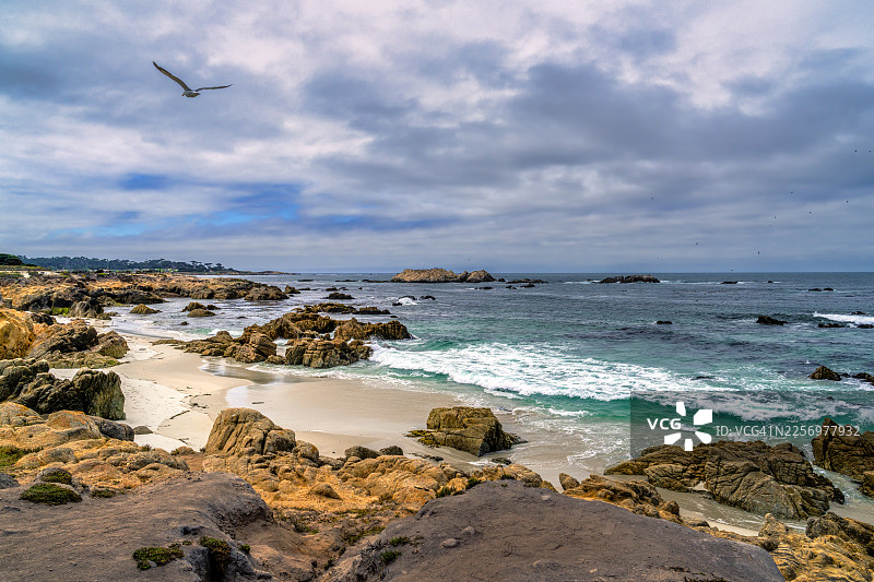 美国卡梅尔戏剧性的海岸风光，有沙滩、崎岖的岩石和一只在多云天空下翱翔的海鸥图片素材
