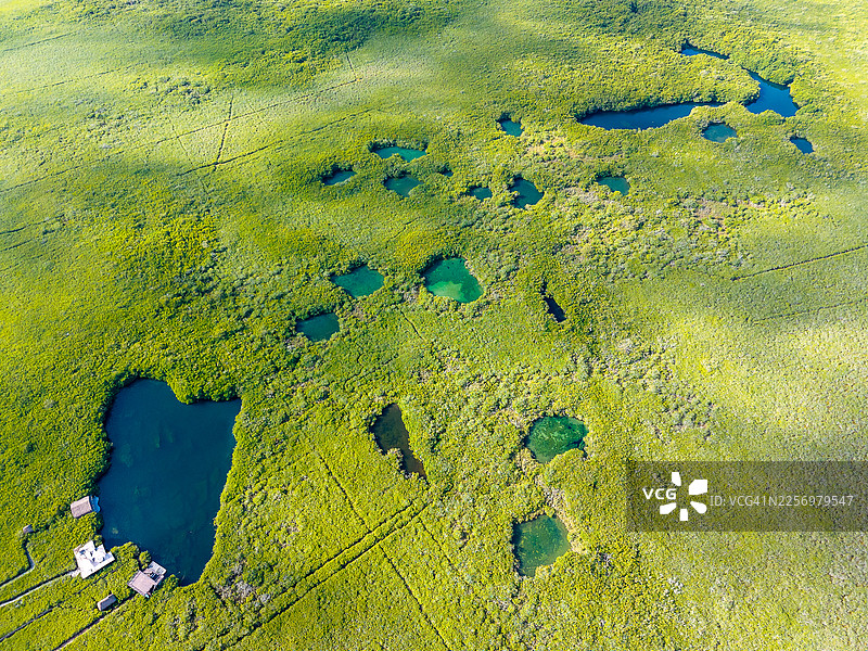 墨西哥，图卢姆，郁郁葱葱的红树林和清澈水塘的高角度航拍，从上方展示生机勃勃的生态系统图片素材