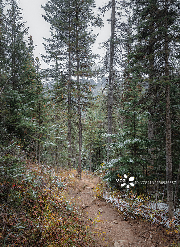 穿过森林和群山，通往翡翠湖的步道图片素材