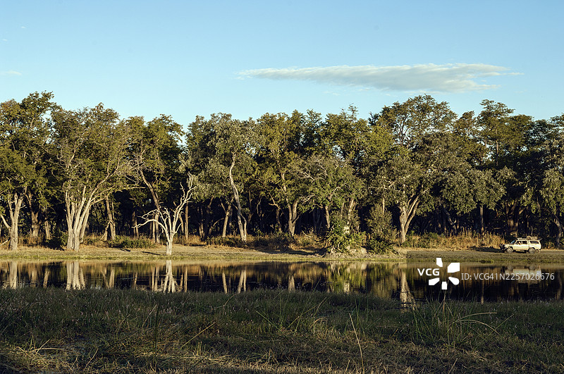 奥卡万戈三角洲的野生动物园之旅图片素材