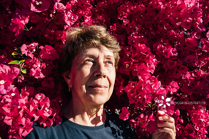 阳光明媚的日子里，一位年长的女士在周围盛开的九重葛花丛中享受生活。图片素材