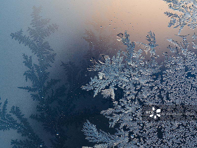 窗户玻璃上呈树枝状、蕨类状的霜冻晶体，带有精美的分支冰纹和零星的凝结水滴，半透明的冰结构映衬着柔和的蓝色和暖色调渐变背景。图片素材