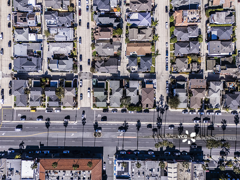 洛杉矶加州住宅区和棕榈树成荫的城市道路的鸟瞰图图片素材