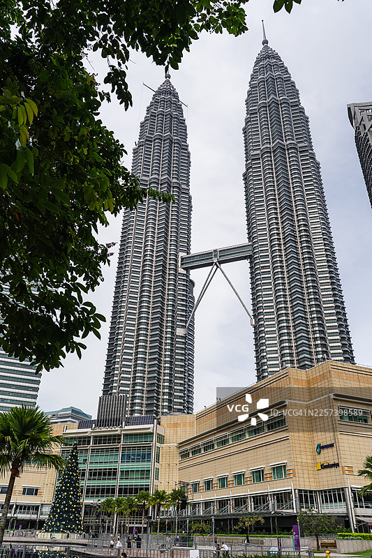 透过茂密绿植看到的双子塔景观图片素材