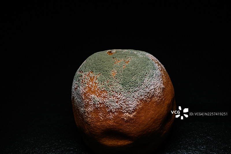 橙子上的霉菌和青霉图片素材