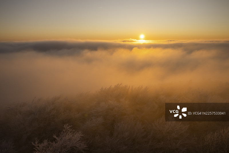 日落时分,白雪覆盖的欧洲山毛榉森林,朝西望去,是条顿堡森林的山脊,日落之后,施泰内格观景塔,迪森,奥斯纳布吕克区,下萨克森州,德国图片素材