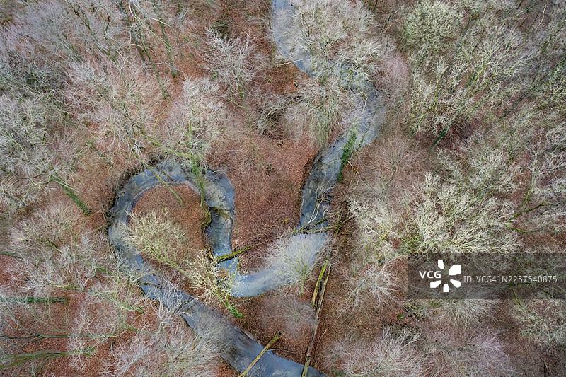 冬季低山溪流蜿蜒，有山毛榉森林，垂直航拍，无人机拍摄，梅勒，奥斯纳布吕克区，下萨克森，德国图片素材