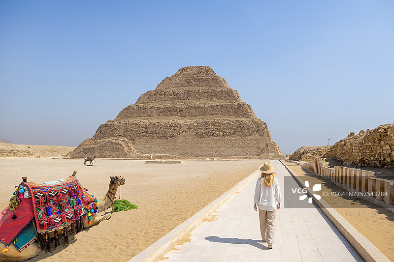 埃及萨卡拉阶梯金字塔的骆驼图片素材