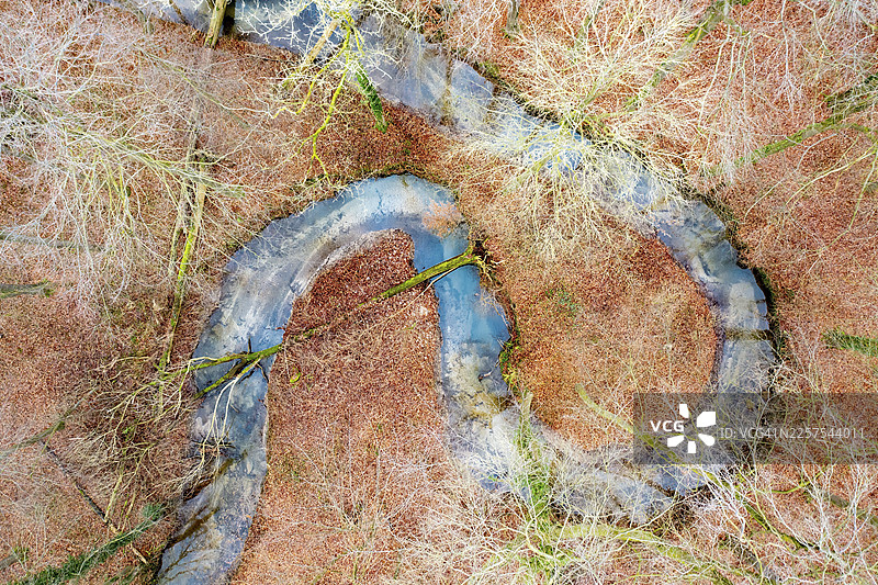 冬季低山溪流的蜿蜒，拥有山毛榉森林，垂直航拍，无人机拍摄，梅勒，奥斯纳布吕克区，下萨克森，德国图片素材