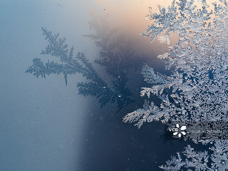 窗户玻璃上呈树枝状、蕨类状的霜冻晶体，有细密的冰分支图案和零星的凝结水滴，半透明的霜冻背景呈现从柔和的蓝色到暖色的渐变。图片素材