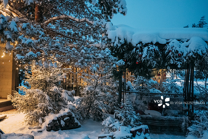 舒适的冬日花园，挂满圣诞彩灯，四周白雪覆盖的树木图片素材