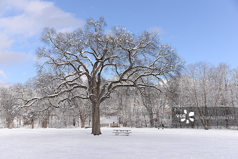 2026年冬季图片素材