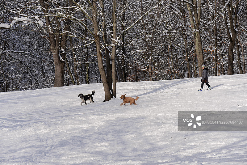 2026年冬季图片素材