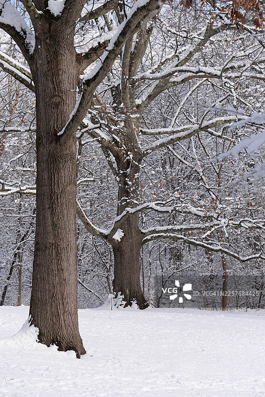 2026年冬季图片素材