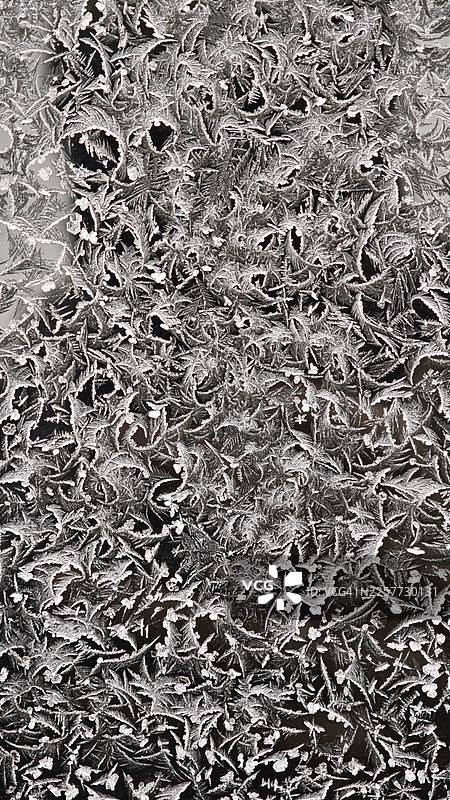 黑色玻璃表面上覆盖着蕨类植物状的树枝状霜花晶体特写，精美的冰晶形态，带有羽毛状的分支图案和锋利的晶体边缘，密集的霜纹理营造出自然的抽象冬季背景图片素材