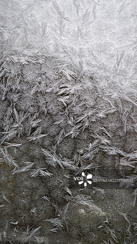 玻璃表面上蕨类状树枝状霜冻晶体的特写，复杂的羽毛状冰晶，具有分支图案和锋利的结晶边缘，密集的霜冻纹理营造出自然的冬季抽象背景图片素材