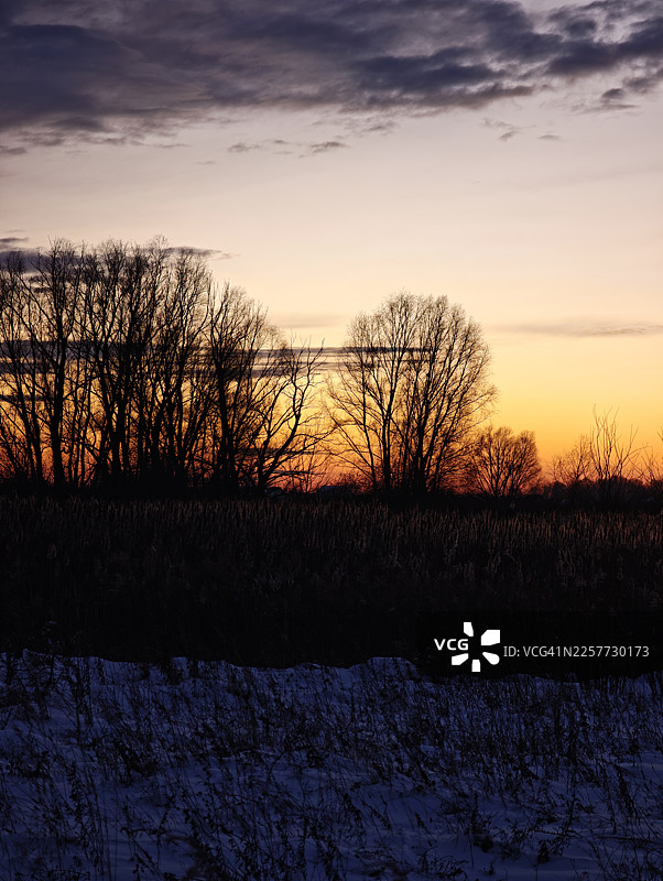冬季日落，开阔的草地，雪地覆盖，无叶树的剪影，柔和的黄橙色天空，上方有乌云，宁静的傍晚光线，寒冷季节的景观，自然的地平线和宁静的乡村风光图片素材