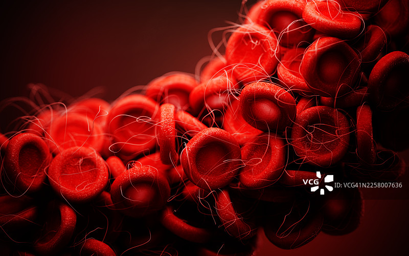 红细胞纤维蛋白凝块交织的蛋白质链图片素材