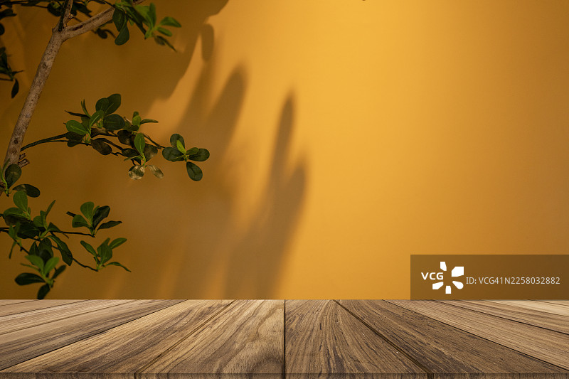 黄墙背景下，木桌上的植物投影图片素材