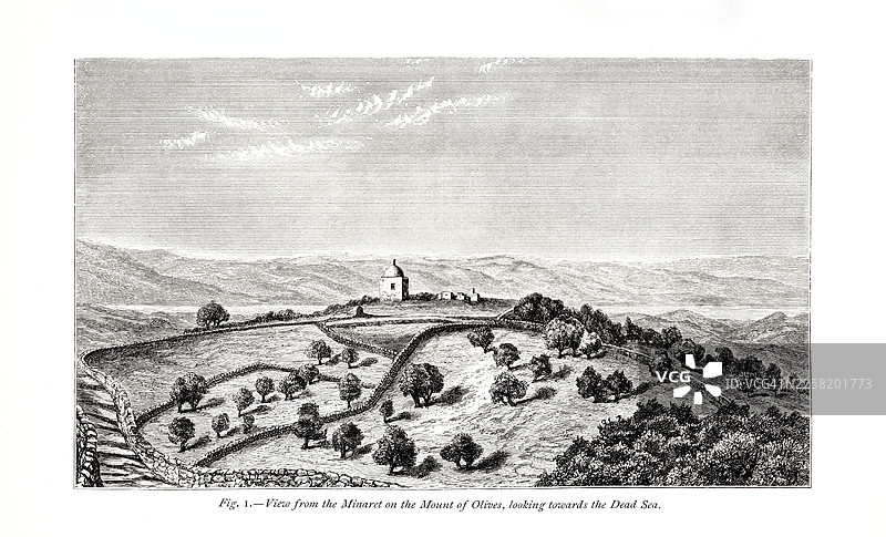 橄榄山 - 古董雕版画图片素材