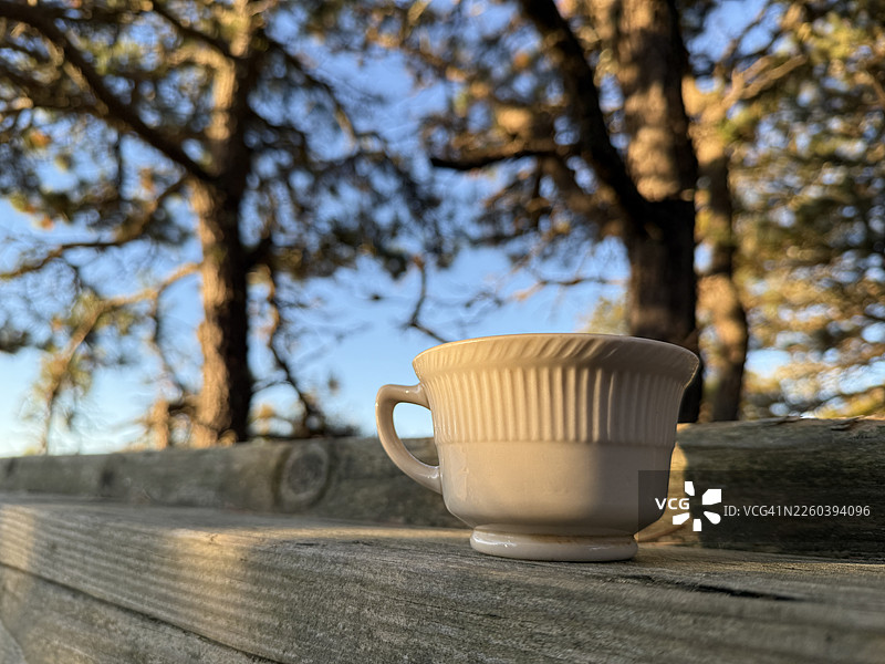 在科德角的一栋小屋旁，杯咖啡放在黑松树下，望向海景，地点是马萨诸塞州韦尔弗利特。图片素材