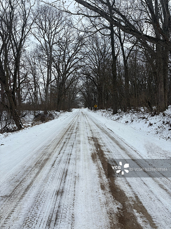 阴天，白雪覆盖的道路穿过一片光秃秃的冬季森林，地点：美国奥兰多图片素材