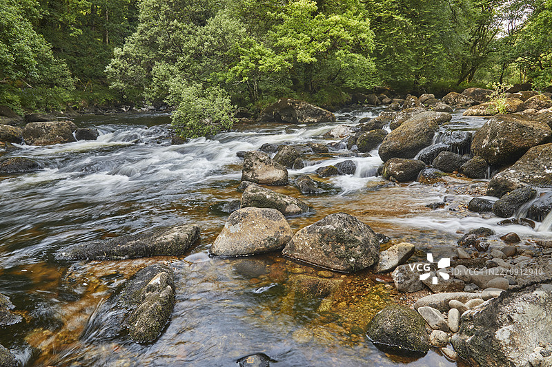 英国德文郡达特米特附近达特谷国家自然保护区，莱特河（River Dart）在林地中流淌，绕过巨石。图片素材