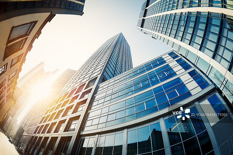 阳光下的办公摩天大楼图片素材