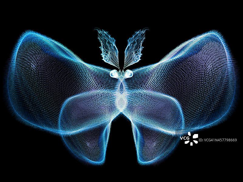 蝴蝶设计图片素材