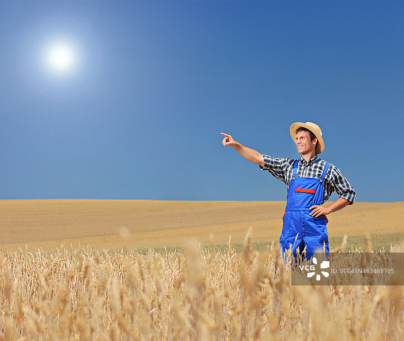 年轻农民指向麦田图片素材