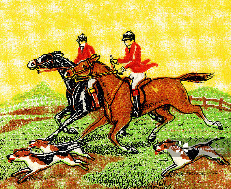 赛马与猎犬图片素材