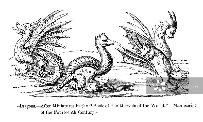 中世纪龙图片素材