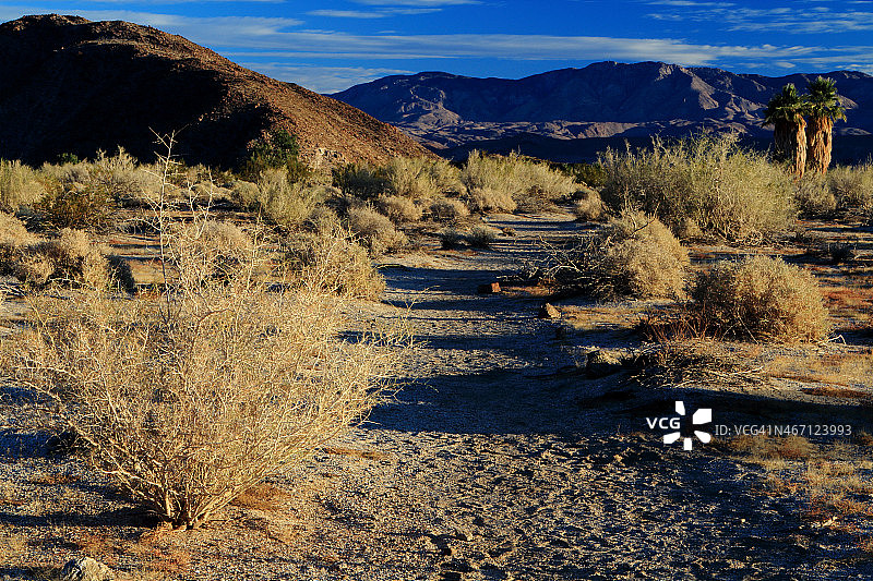 沙漠清晨图片素材