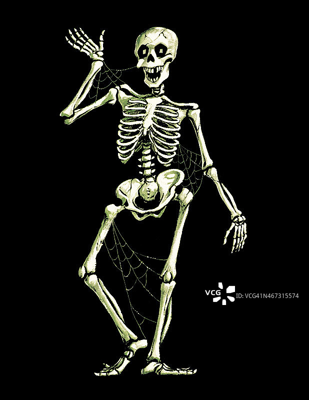 快乐的骷髅图片素材