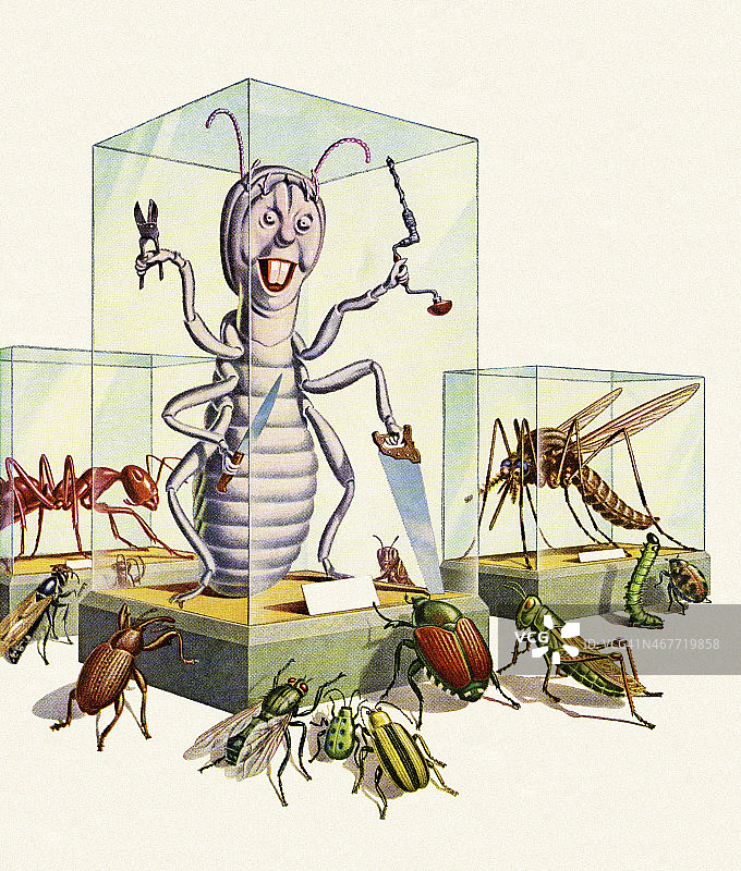 昆虫博物馆图片素材