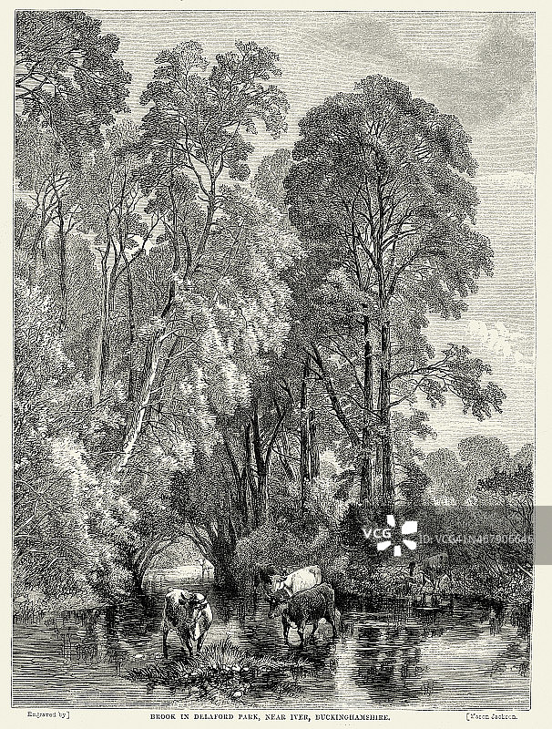 德拉福德公园的小溪，靠近白金汉郡艾弗图片素材