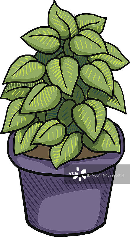 绿叶盆栽图片素材